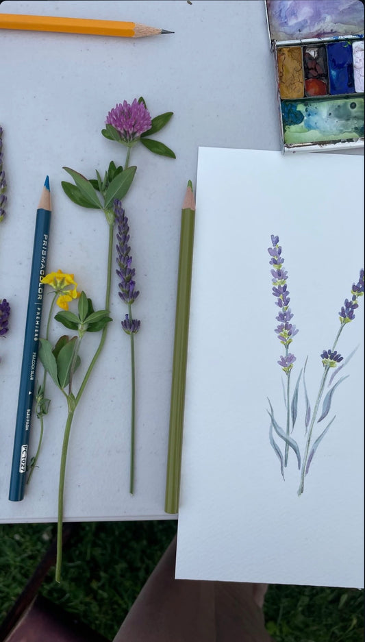 Watercolor on the Farm - July 8, 2026