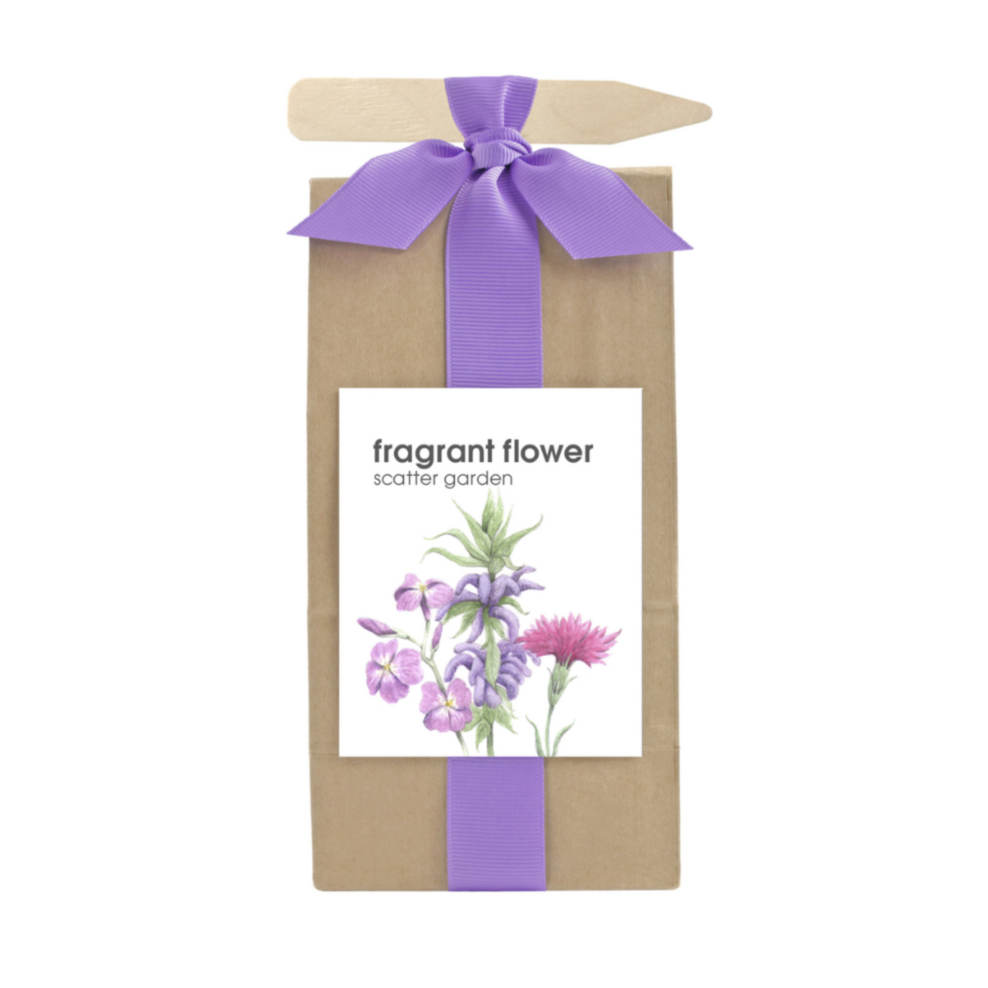 scented flower seeds Scatter Garden Seeds